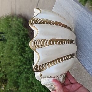 1970's Vintage Chalkware shell in white and gold wall hanger